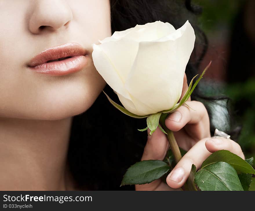 Closeup shot of white rose at girls hand. Closeup shot of white rose at girls hand