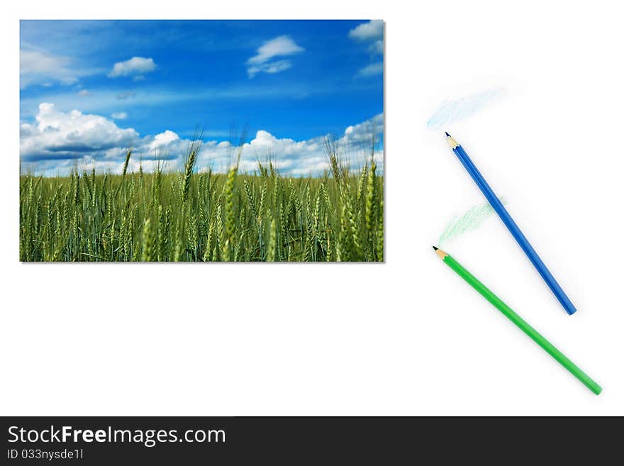 Image of green field of unripe wheat on paper with color pencils. Image of green field of unripe wheat on paper with color pencils