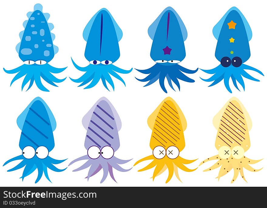 Group Of Squid