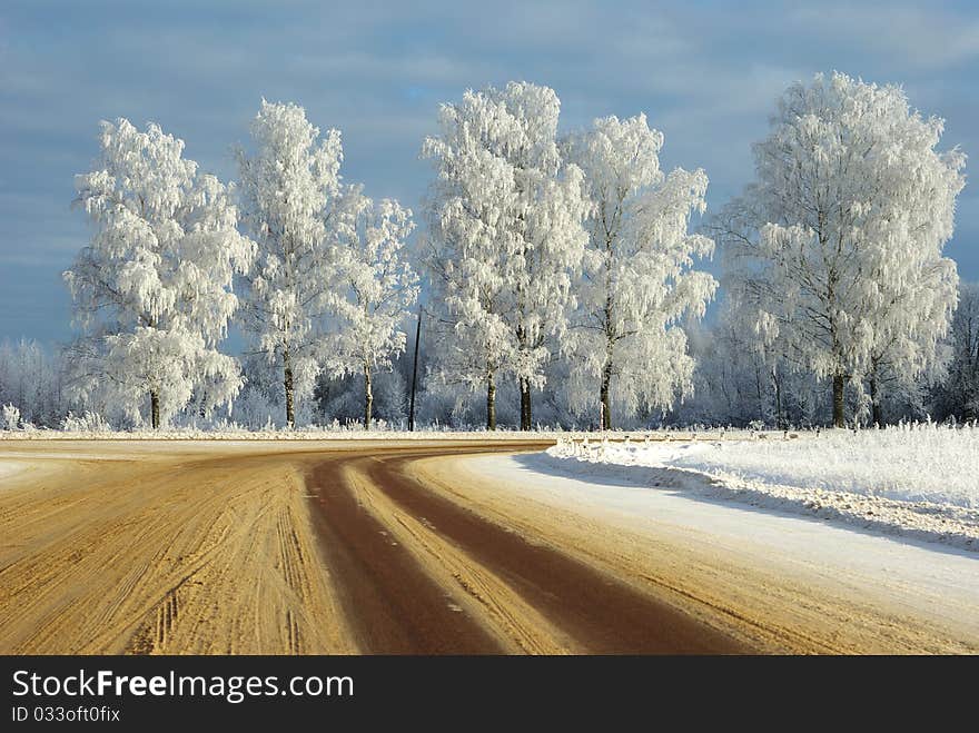 Snowy turn