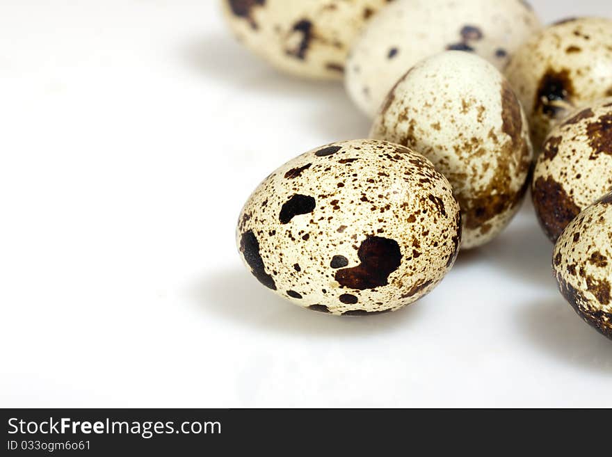 Quail spotted eggs on white. Quail spotted eggs on white.