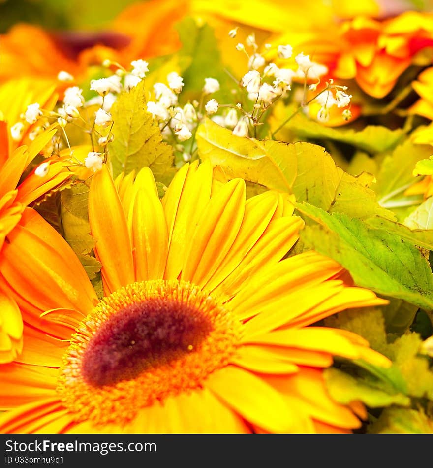 Yellow flower in wedding buket