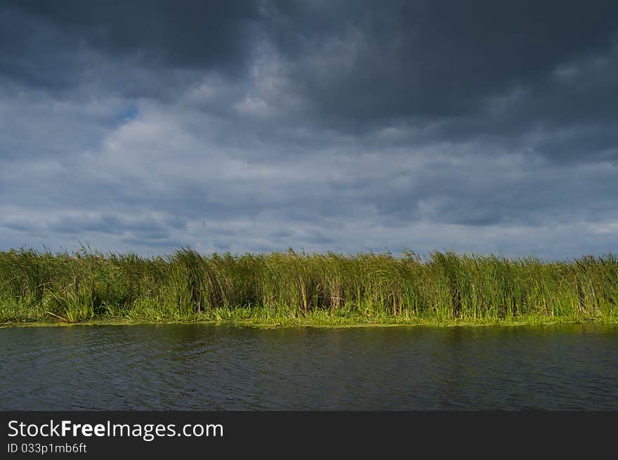 Danube Delta Landscape