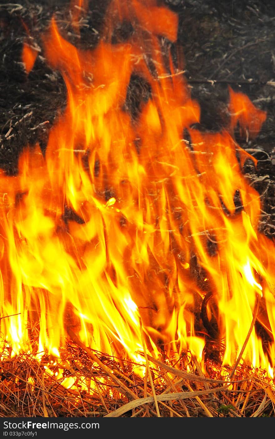 Background with the image of fire