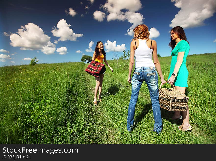 Very fun girlfriends on picnic