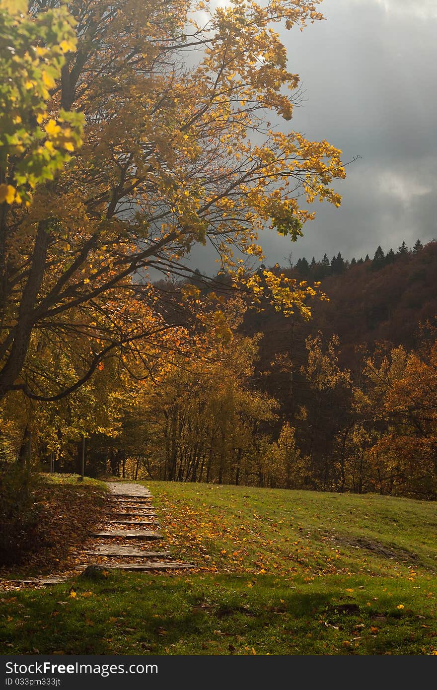 Park in autumn