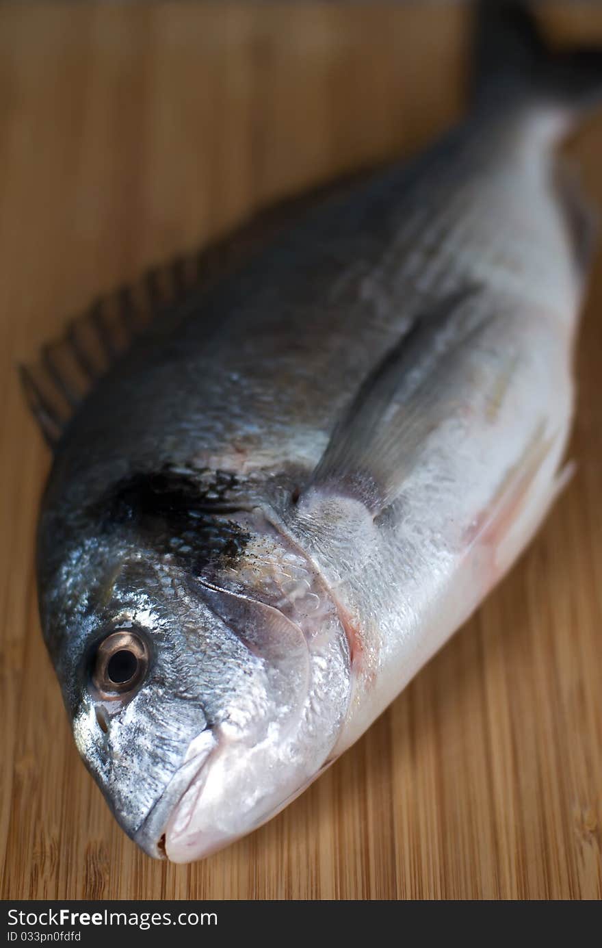 Fresh gilthead (Sparus auratus) close up on preparation table