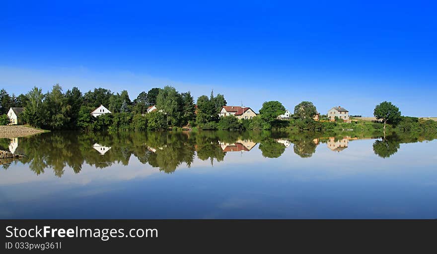 Summer landscape with a pond and trees