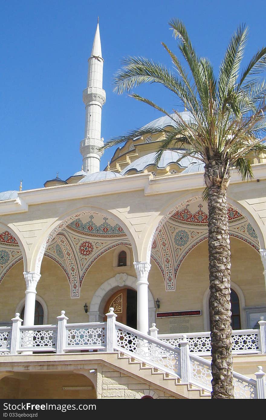 Mosque and the palm