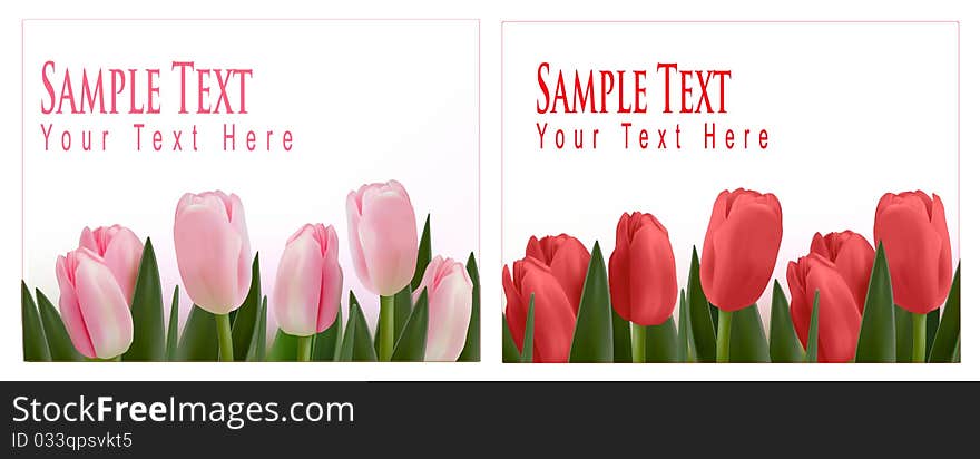 Two flower design borders isolated on white. Vector.