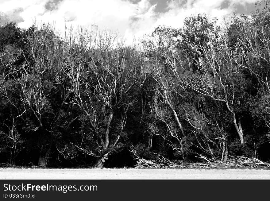 Taken at Mataura River, southland, New Zealans. Taken at Mataura River, southland, New Zealans.