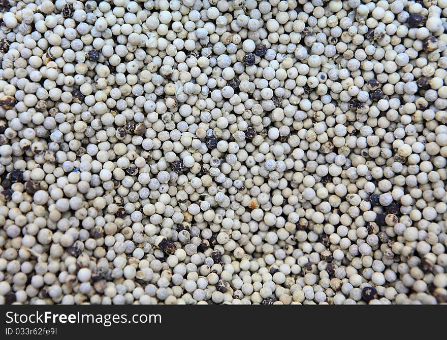 White pepper seeds