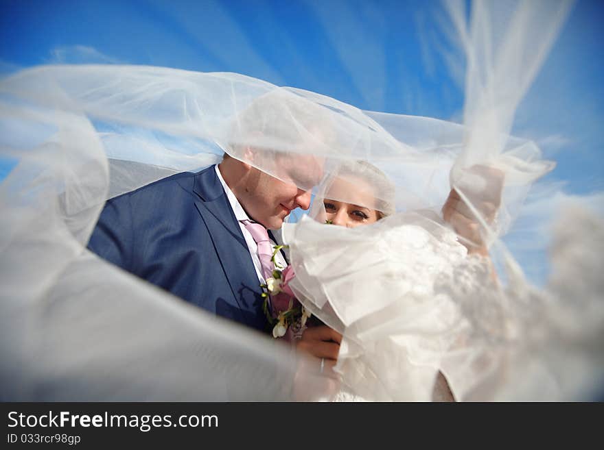 Bride and groom under the veil. Bride and groom under the veil