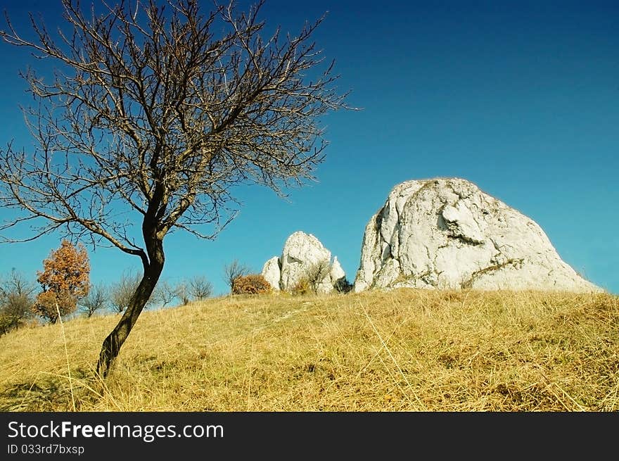 Meadow With White Cliffs