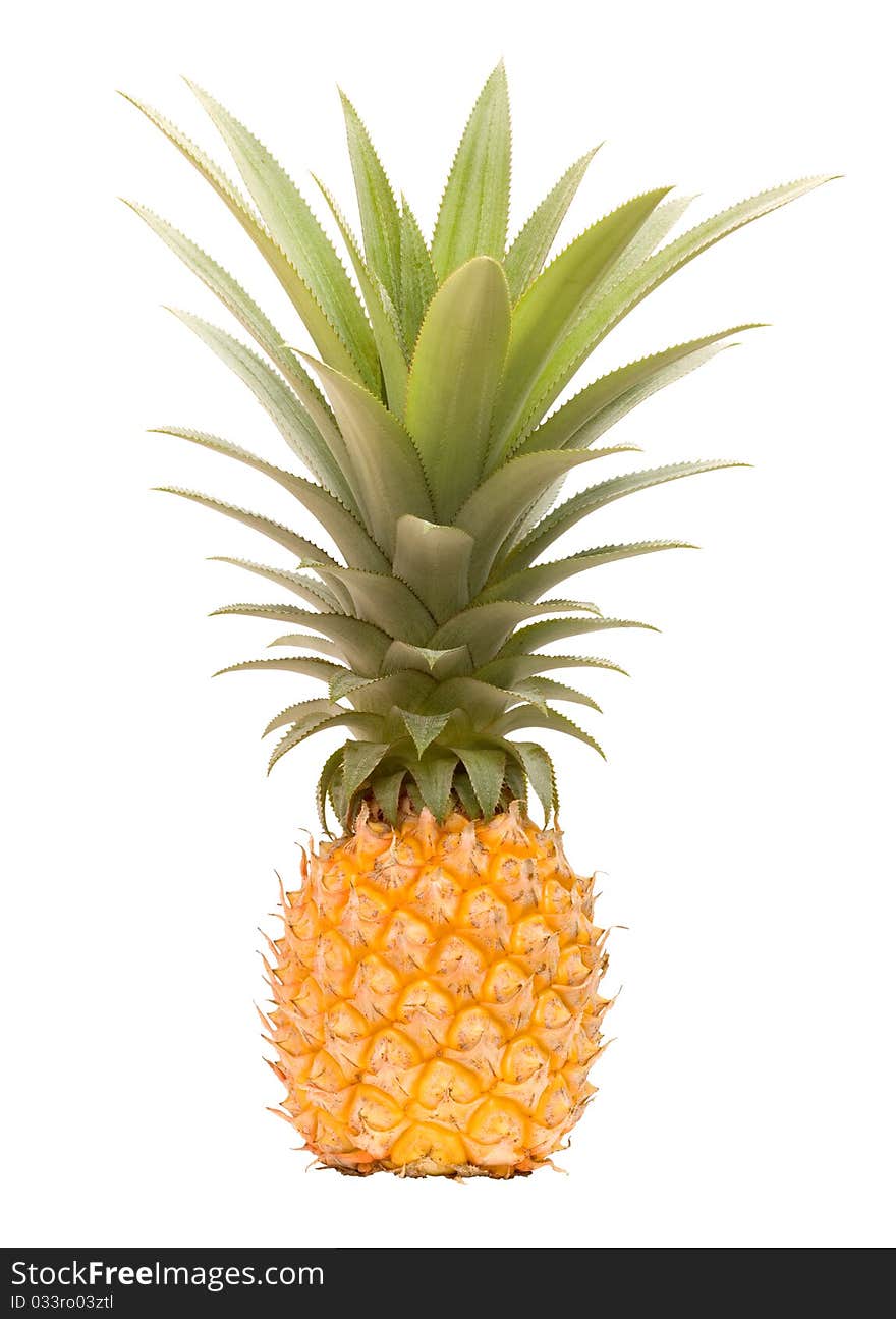 Garden Grown Totally Organic Pineapple