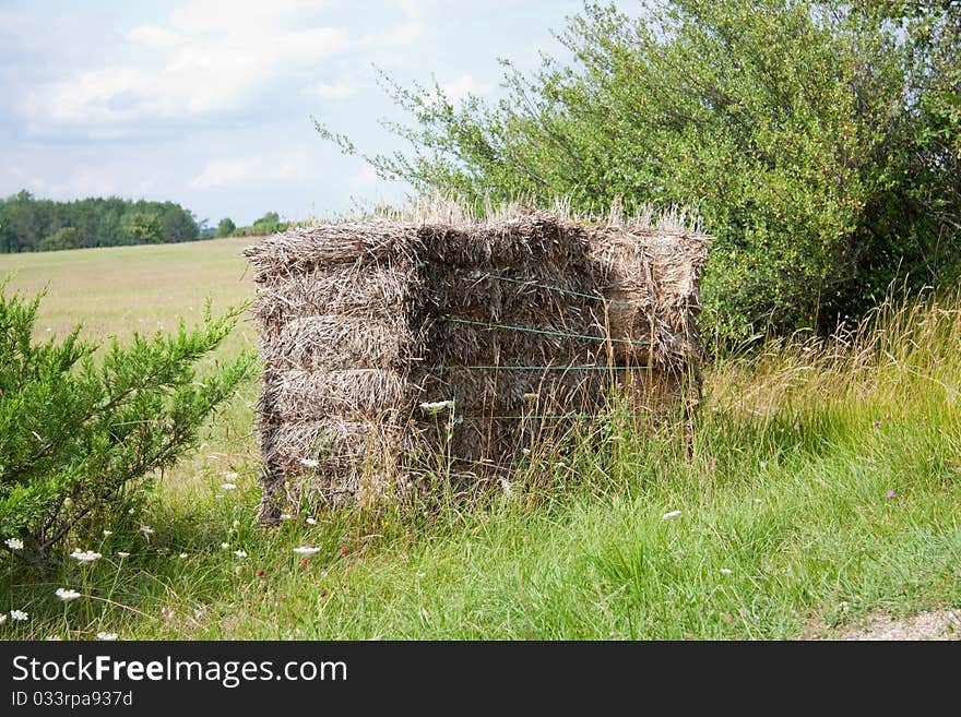 A tied straw bale in an agriculture field