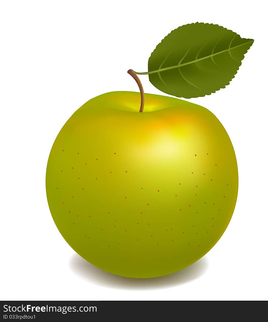 Fresh green apple isolated on white. Vector