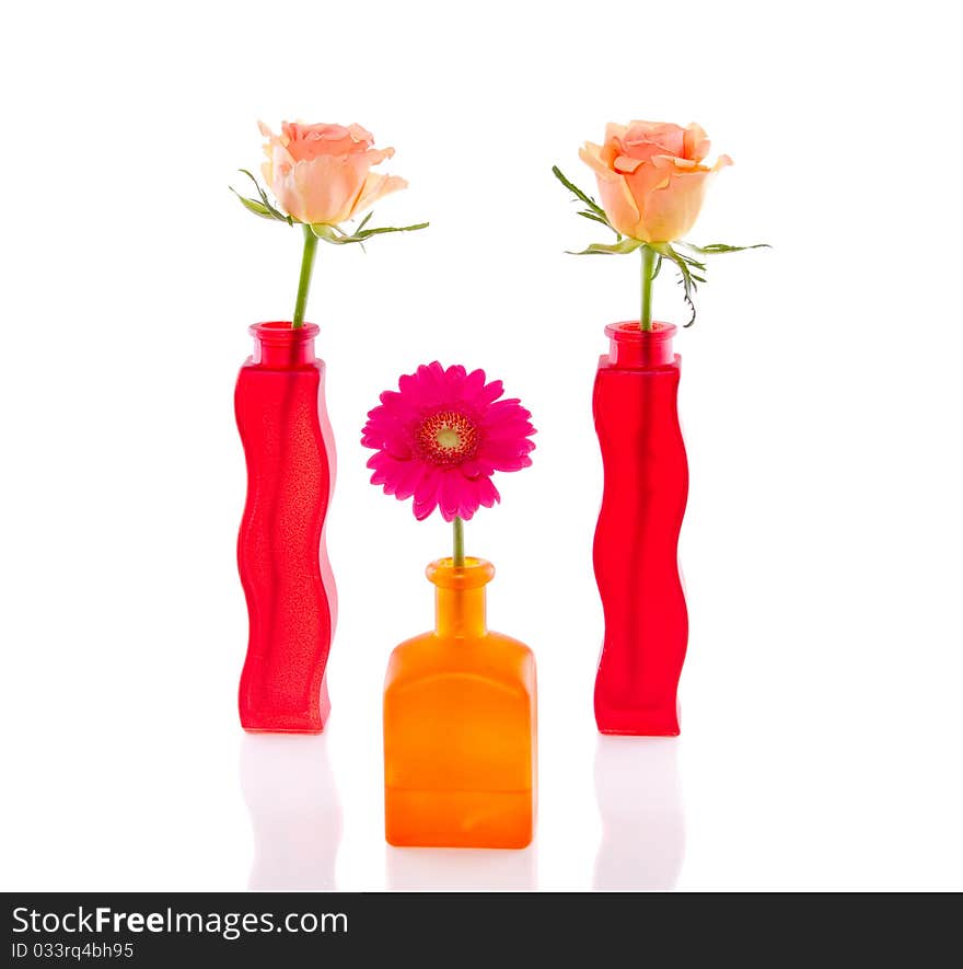 Orange roses and pink Gerber in little glass vases isolated over white