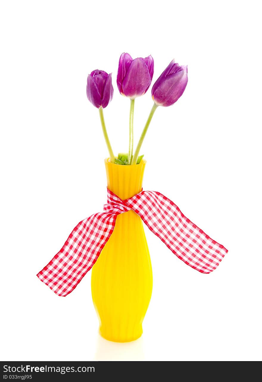 Purple tulips in a yellow little vase with checkered ribbon isolated over white