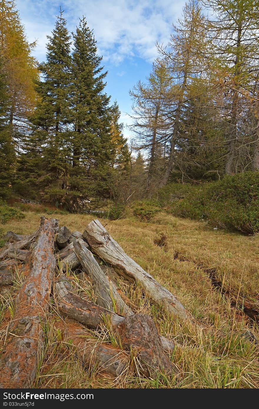 Piz-Tri wetland at 2015 meters on the sea-level. Brixia province, Lombardy region, Italy