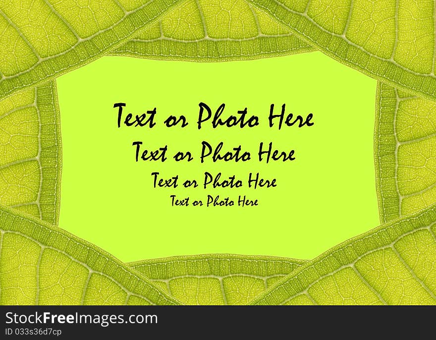 Natural leaf frame with space for text on green