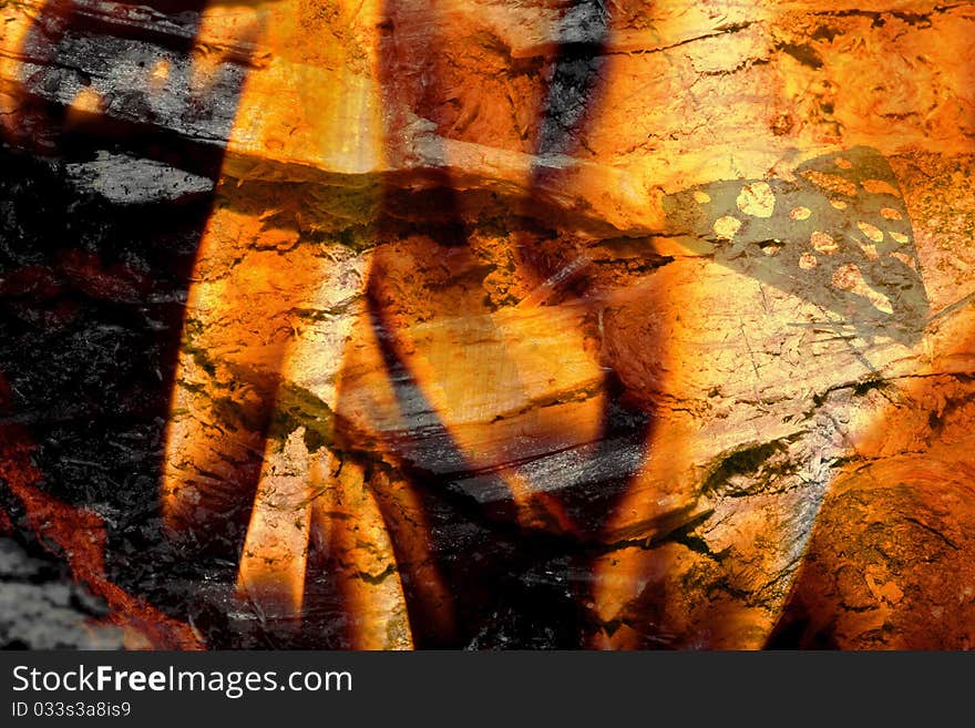 A grunge texture with butterfly and burning wood. A grunge texture with butterfly and burning wood