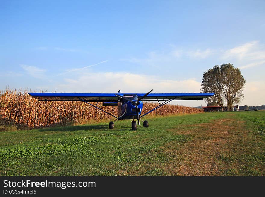 Airplane in a grain field