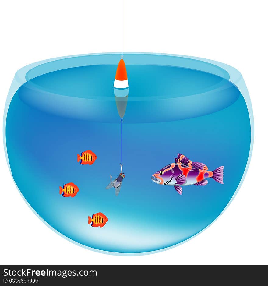 Fishing in aquarium