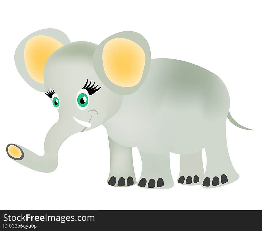 Small baby elephant on white background. Small baby elephant on white background