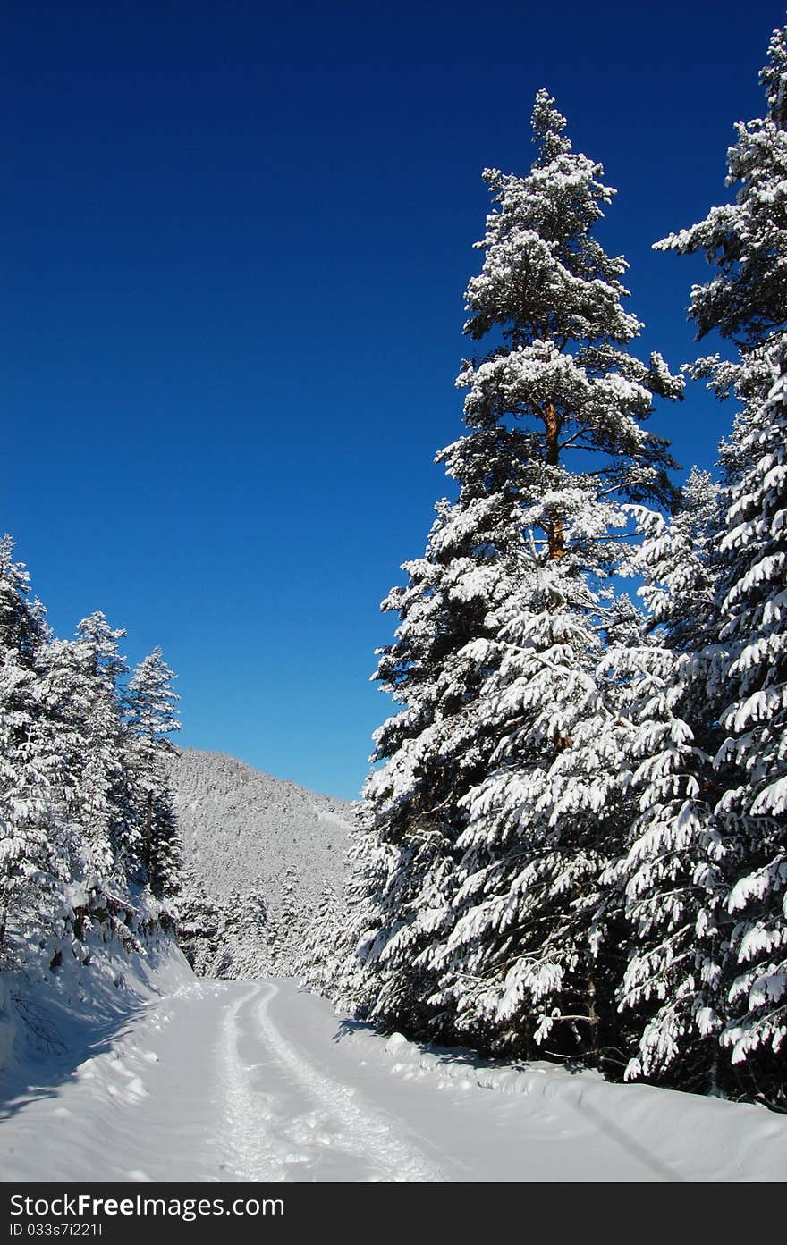 View on forest snow, Gerede, Ankara, Turkey. View on forest snow, Gerede, Ankara, Turkey