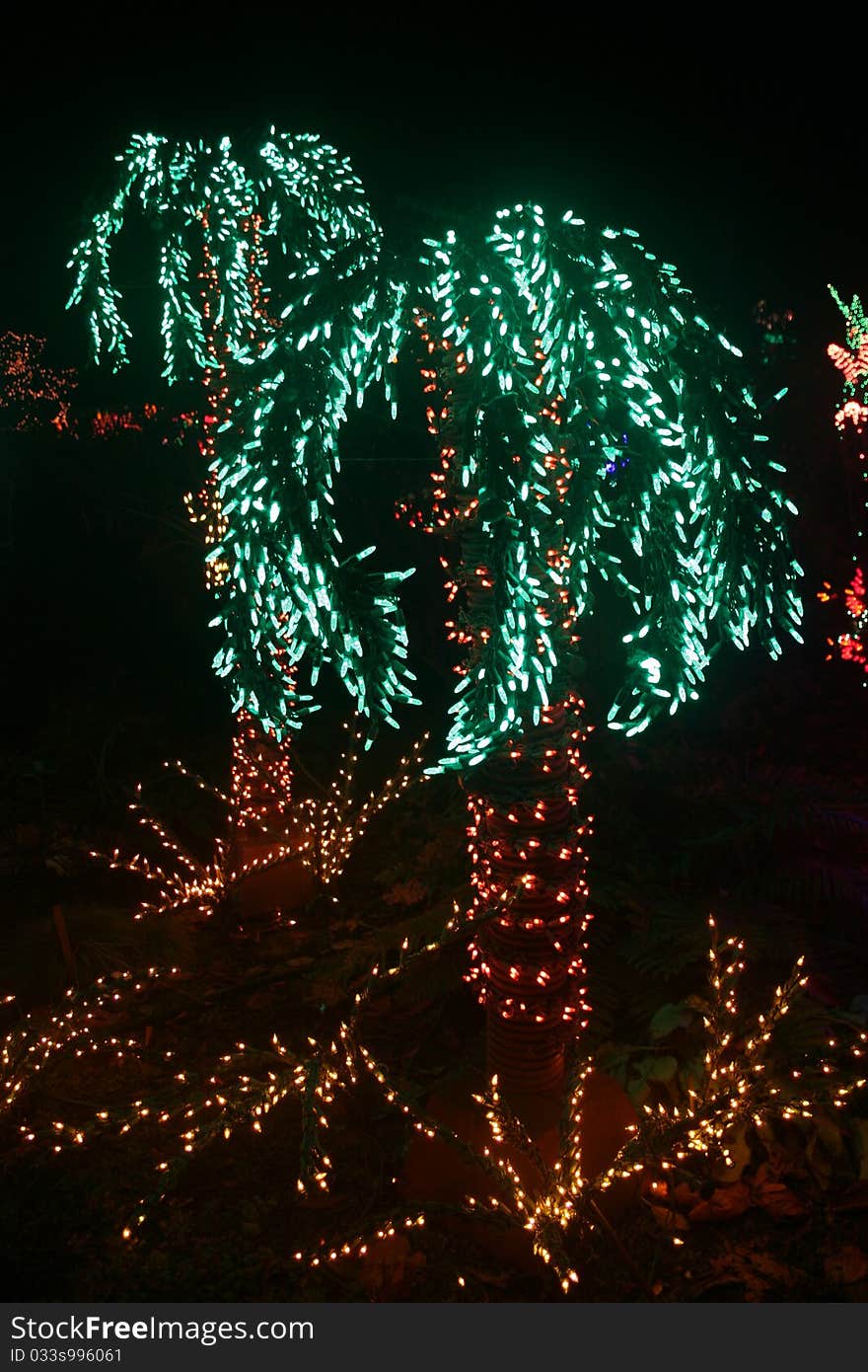 Palm trees made from LED holiday lights to celebrate the Christmas season in a garden display. Palm trees made from LED holiday lights to celebrate the Christmas season in a garden display.