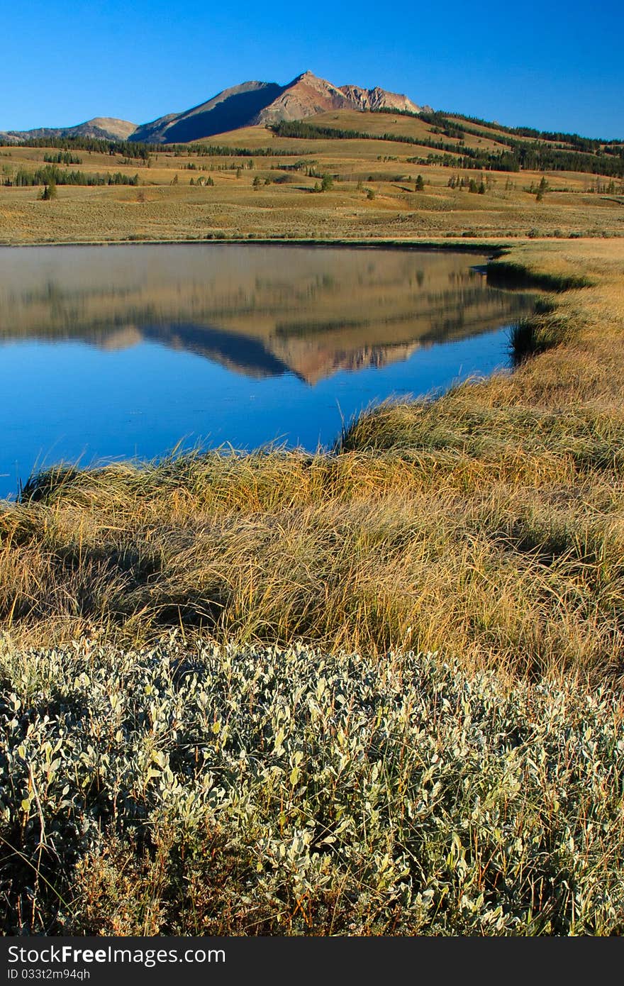 Electric Peak reflects in the blue water of Swan Lake. Yellowstone National Park. Electric Peak reflects in the blue water of Swan Lake. Yellowstone National Park.