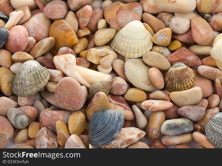 Background from seashells and stones