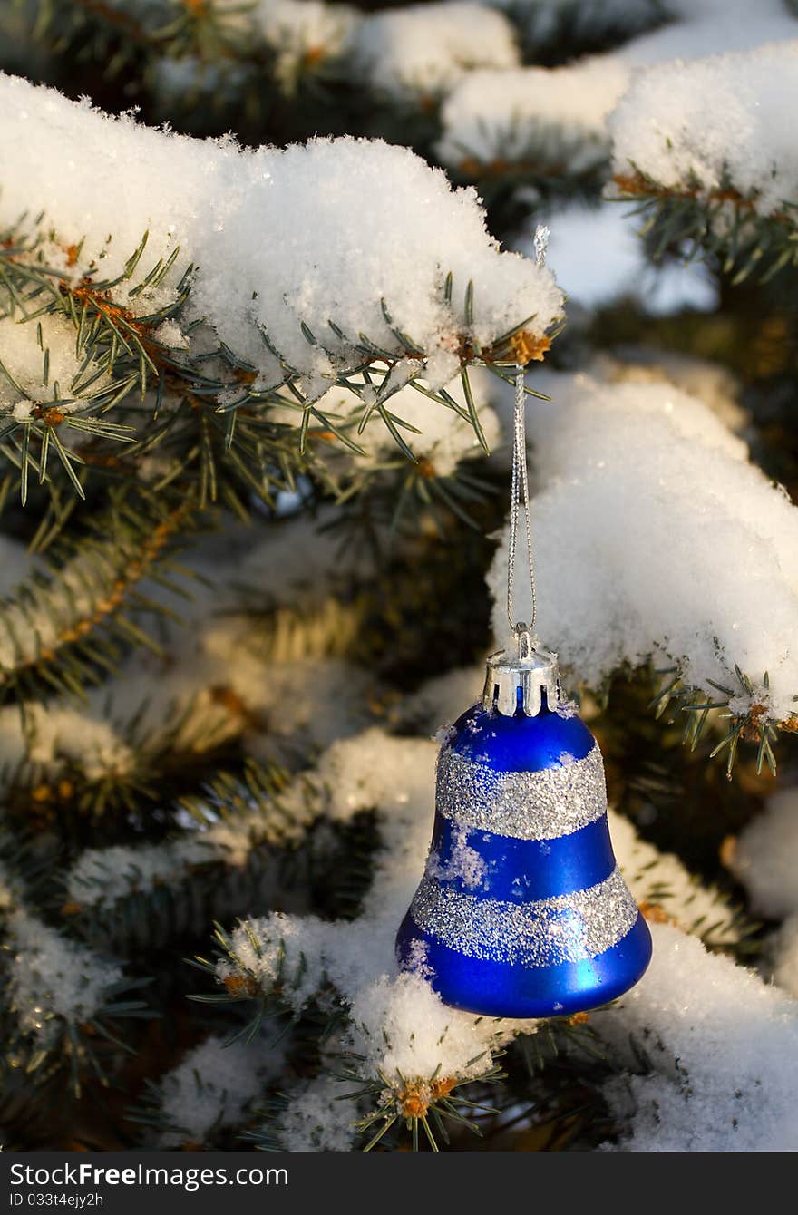 Christmas decoration on fir branch