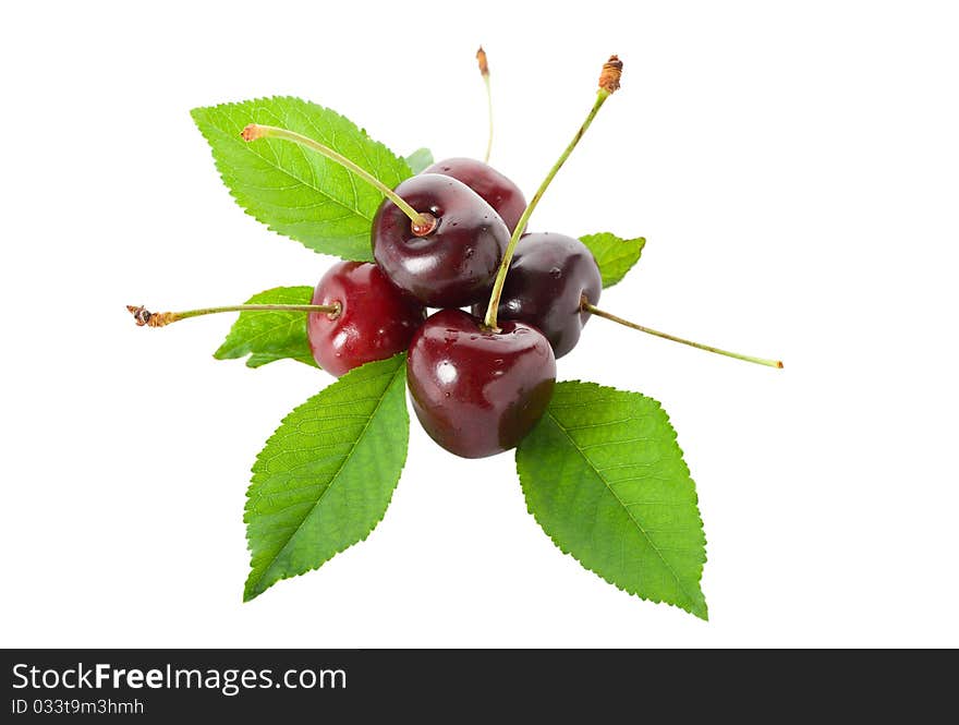 Sweet cherries with leaves, isolated on white