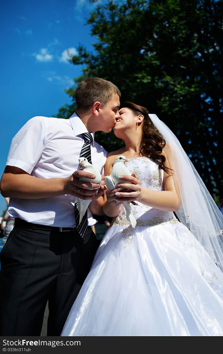 Kiss the bride and groom with white pigeons