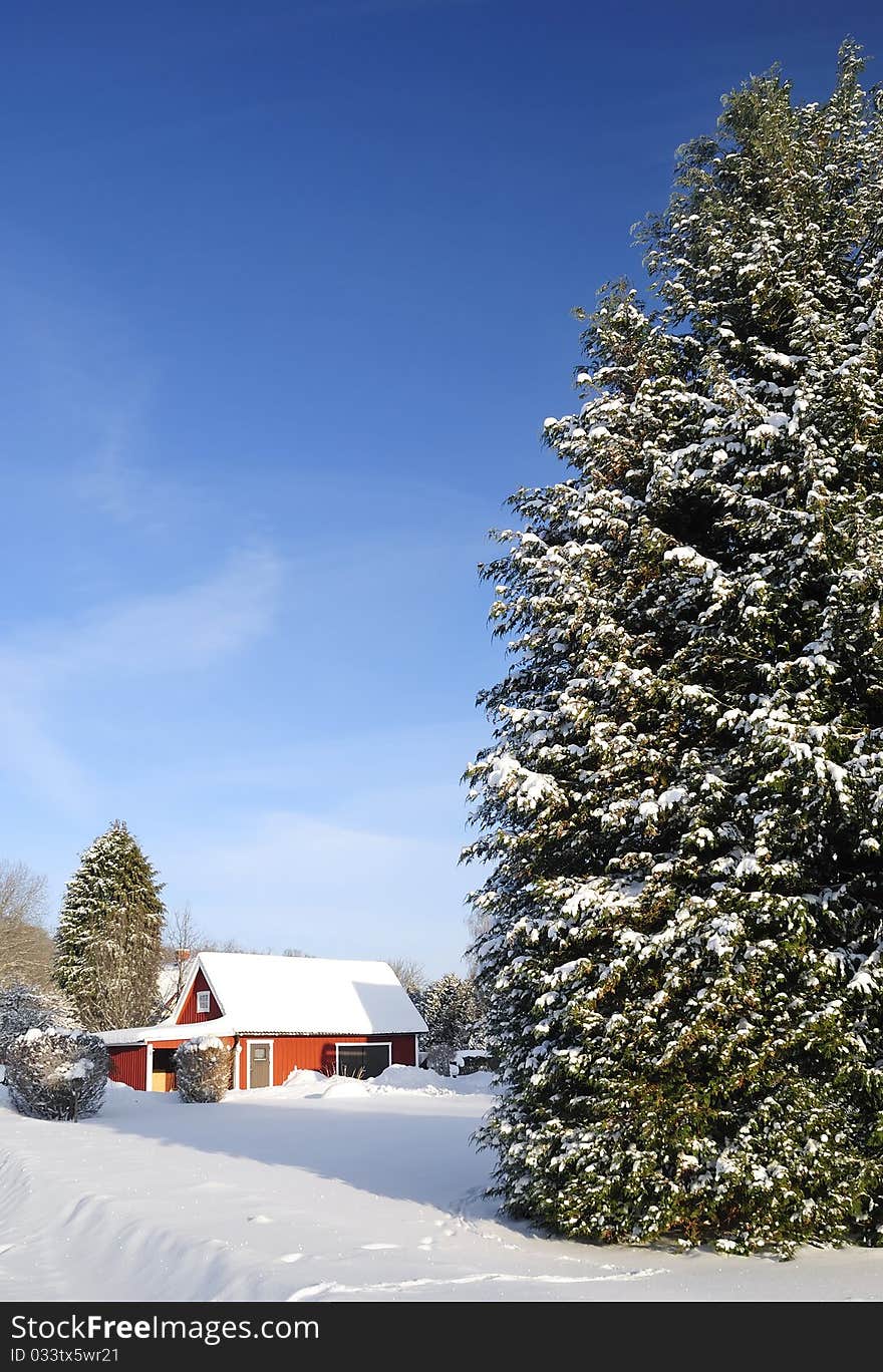 Swedish winter contrasts