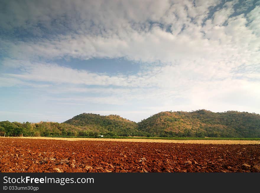 A plowed field ready for planting. A plowed field ready for planting.