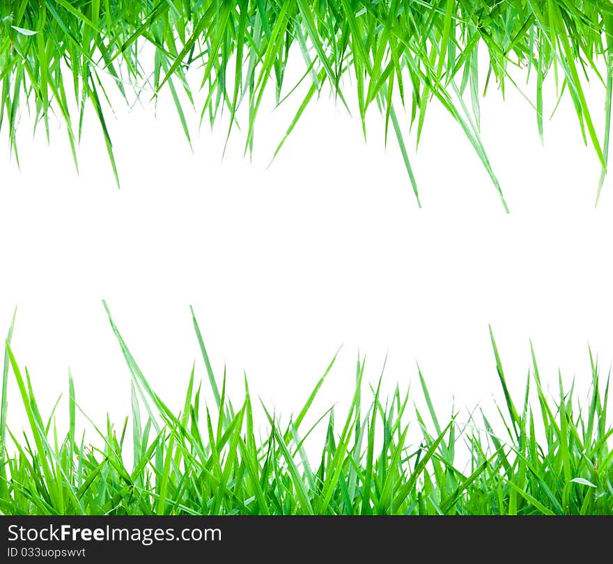 Fresh spring green grass frame isolate