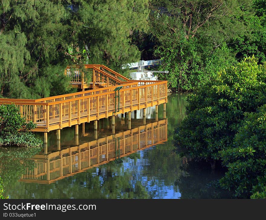 Peaceful and isolated walkway to watch the birds and the river. Peaceful and isolated walkway to watch the birds and the river.