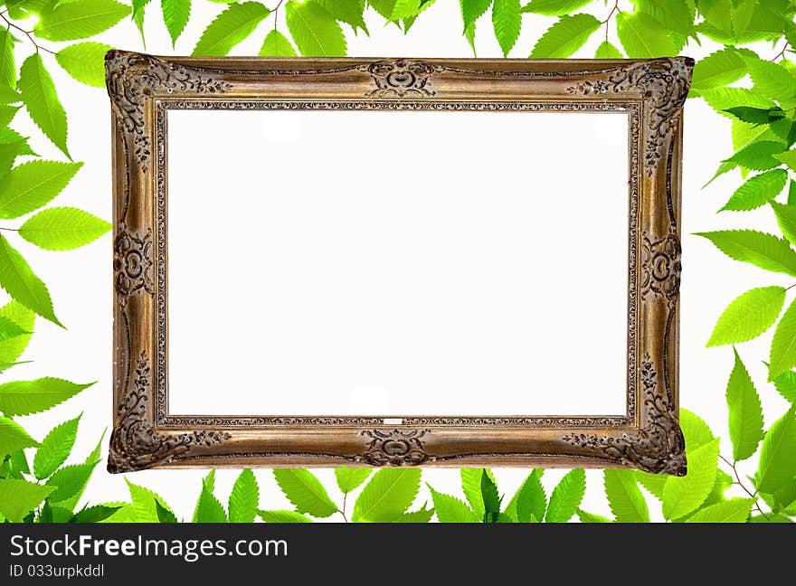 Background With Green Plant Frame