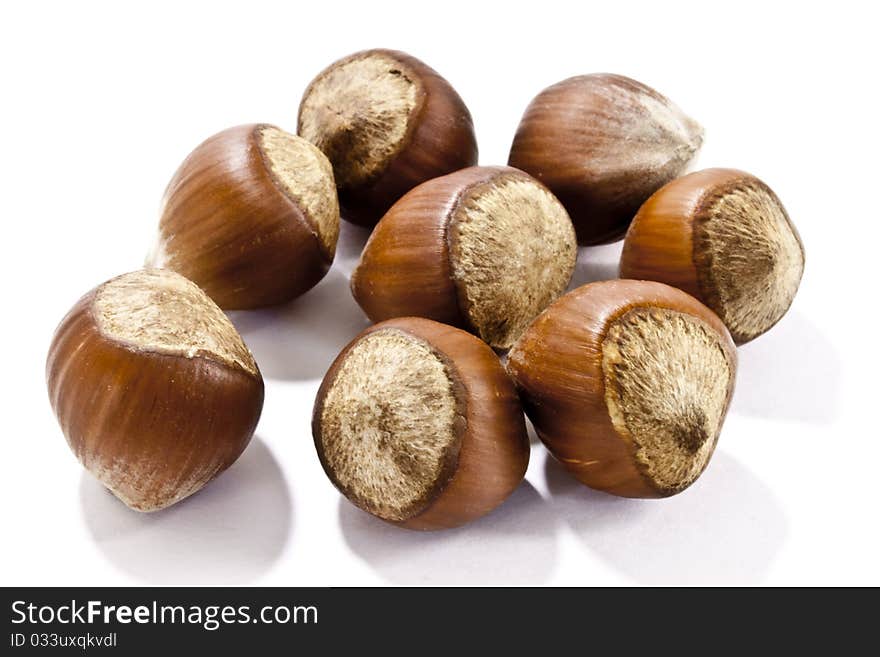 8 filbert nuts on white background