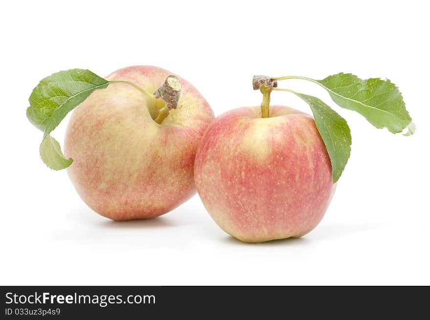 Organic Apples isolated on white background. Organic Apples isolated on white background