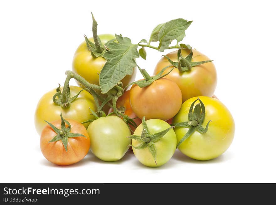 Ecological Tomatoes