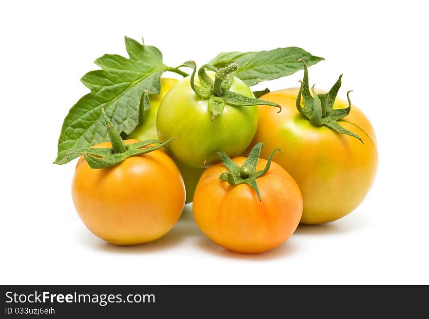 Fresh tomatoes