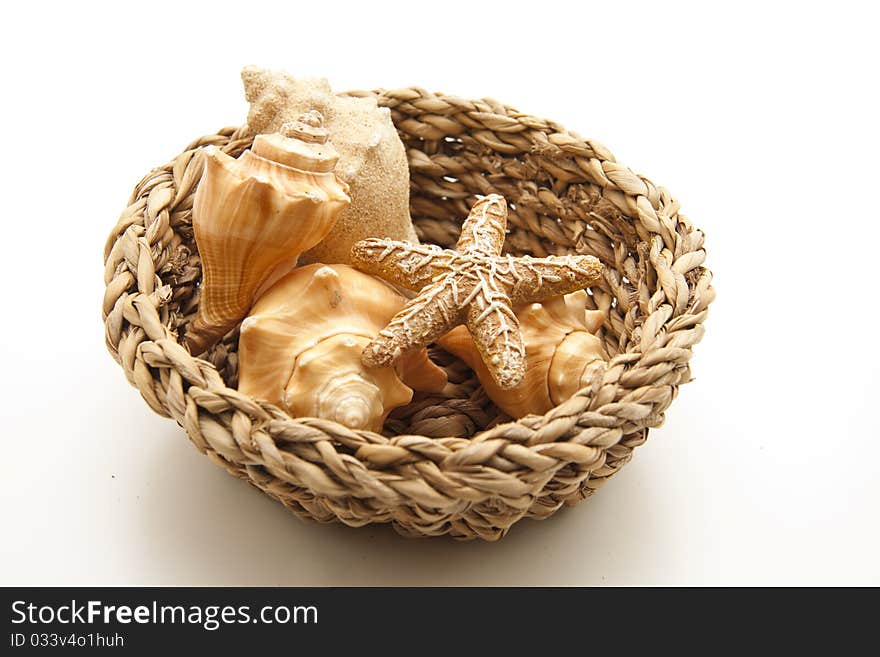 Sea shell and sea star in the woven basket