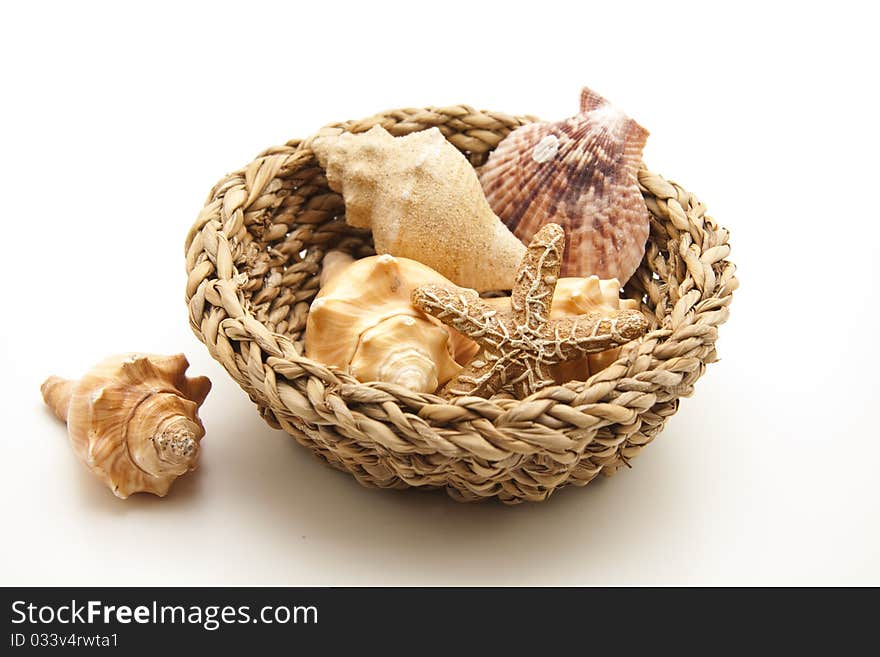 Sea shell and sea star in the woven basket