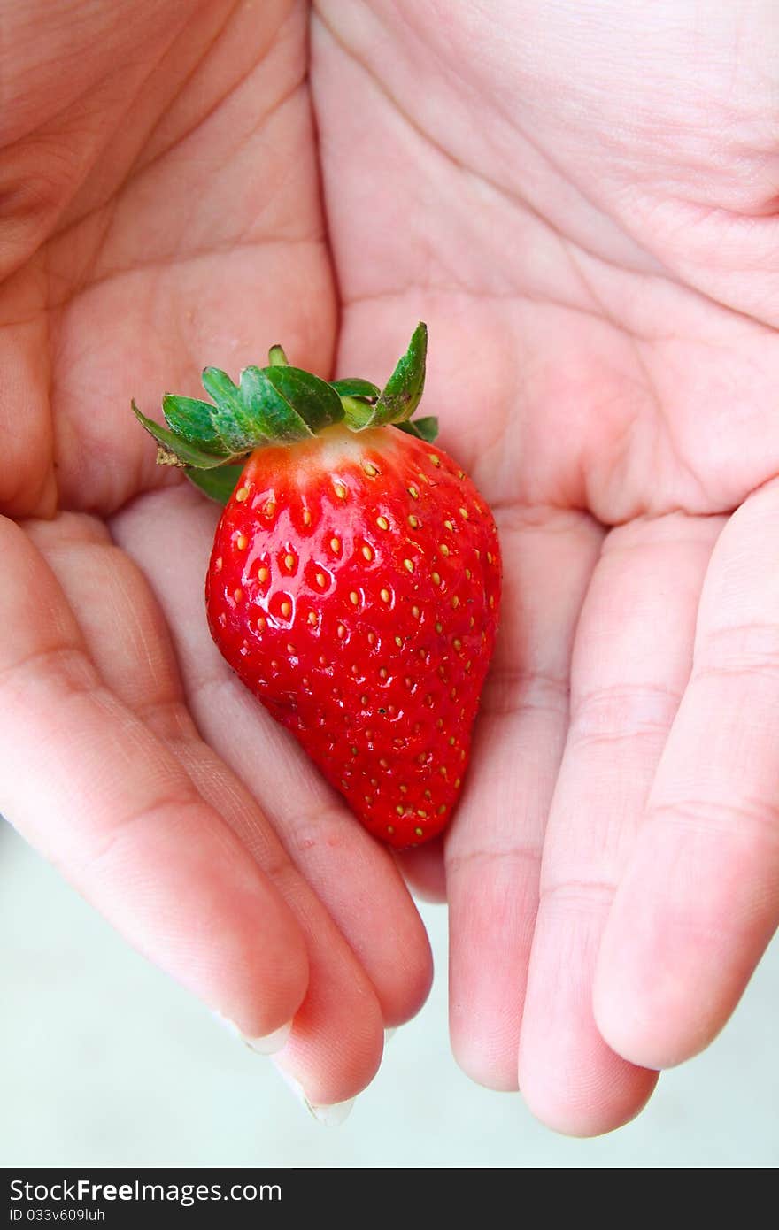 One fresh strawberry in hands