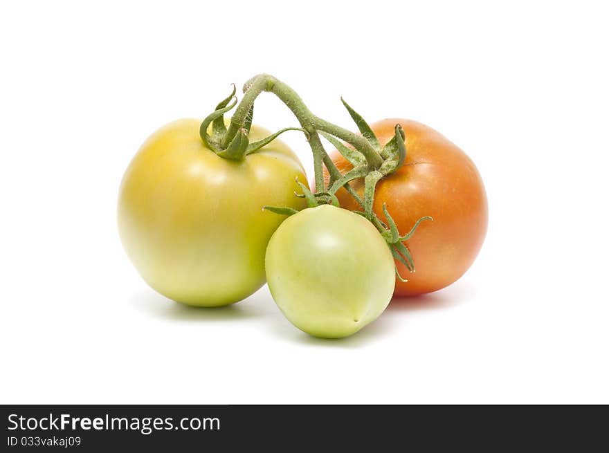 Tomatoes