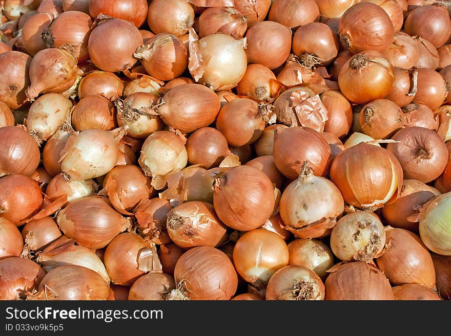 Onion at the market